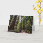 Kalifornien-Rotholz-Grußkarte Karte (Gelbe Blume)