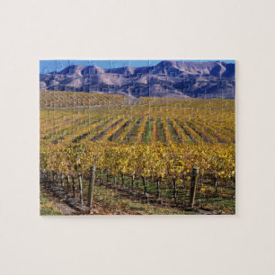 Kalifornien, San Luis Obispo County, Edna Valley Puzzle