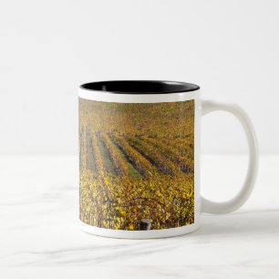 Kalifornien, San Luis Obispo County, Edna Valley Zweifarbige Tasse