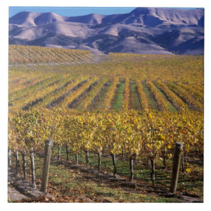Kalifornien, San Luis Obispo Landkreis, Edna Tal Fliese