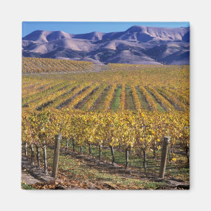 Kalifornien, San Luis Obispo Landkreis, Edna Tal Magnet