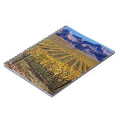 Kalifornien, San Luis Obispo Landkreis, Edna Tal Notizblock (Linke Seite)