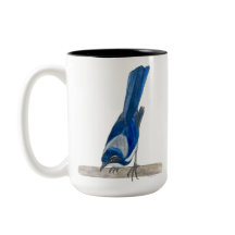 Kalifornien scheuern Jay