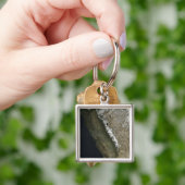 Kalifornien Schlüsselanhänger (Hand)