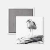 Kalifornien Seagull 2012 Magnet (Vorderseite/Rückseite)