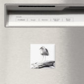 Kalifornien Seagull 2012 Magnet (In Situ (Geschirrspüler))