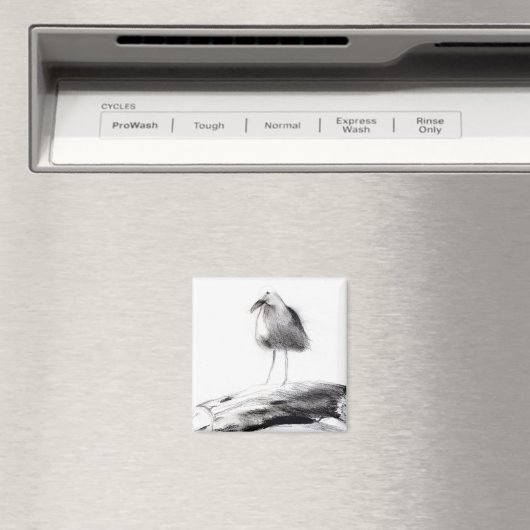 Kalifornien Seagull 2012 Magnet (In Situ (Geschirrspüler))