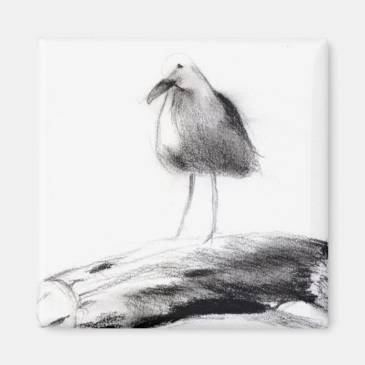 Kalifornien Seagull 2012 Magnet (Vorne)