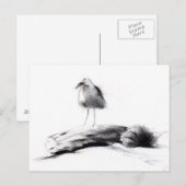 Kalifornien Seagull 2012 Postkarte (Vorne/Hinten)