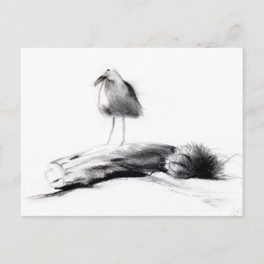 Kalifornien Seagull 2012 Postkarte (Vorderseite)