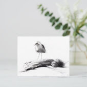 Kalifornien Seagull 2012 Postkarte (Stehend Vorderseite)