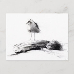 Kalifornien Seagull 2012 Postkarte