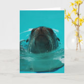 "Kalifornien-Seelöwe-" Gruß-Karte Karte (Gelbe Blume)