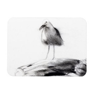 Kalifornien-Seemöwe 2012 Magnet