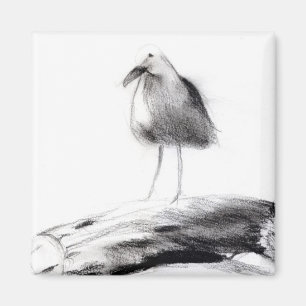 Kalifornien-Seemöwe 2012 Magnet