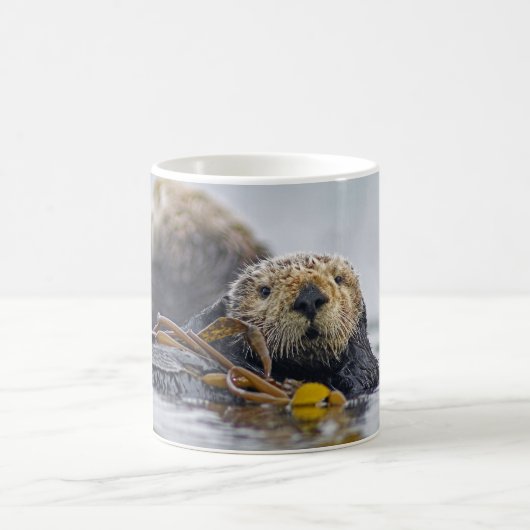 Kalifornien-Seeotter Kaffeetasse (Mittel)