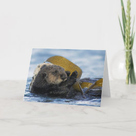 Kalifornien-Seeotter Karte
