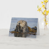 Kalifornien-Seeotter-Karte - Enhydra lutris Foto Karte (Gelbe Blume)