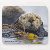 Kalifornien-Seeotter Mousepad (Vorne)