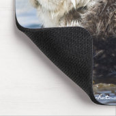 Kalifornien-Seeotter Mousepad (Ecke)