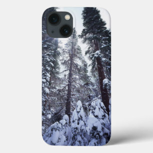 Kalifornien, Sierra Nevada 10 Case-Mate iPhone Hülle