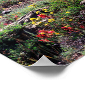 Kalifornien, Sierra Nevada 1 Poster (Ecke)