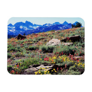 Kalifornien, Sierra Nevada Berge 1 Magnet