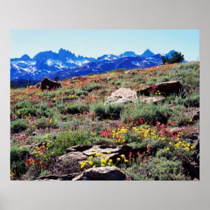 Kalifornien, Sierra Nevada Berge 1 Poster