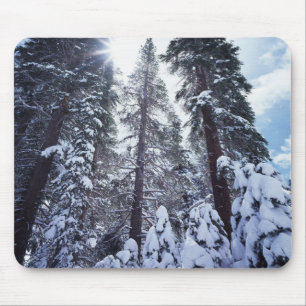 Kalifornien, Sierra Nevada Berge 9 Mousepad