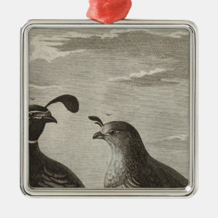 Kalifornien Silbernes Ornament