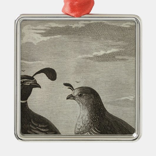 Kalifornien Silbernes Ornament (Vorne)