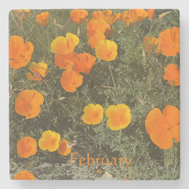 KALIFORNIEN UNTERSETZER: FEBRUAR STONE UNTERSETZER