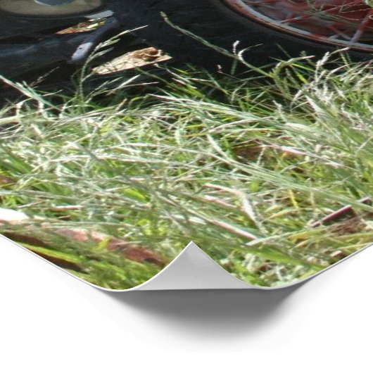 Kalifornien verlor Barqs LKW Poster (Ecke)