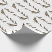 Kalifornien-Wachtel-Familien-Packpapier Geschenkpapier (Ecke)