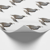 KALIFORNIEN-WACHTELN GESCHENKPAPIER (Ecke)