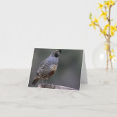 Kalifornien-Wachteln - Joe Sweeney - Karte (Gelbe Blume)