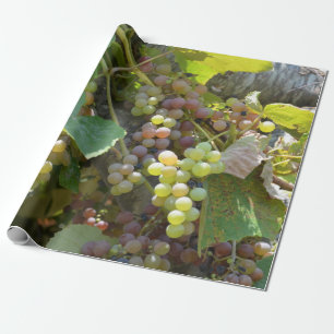Kalifornien-Weinberge Geschenkpapier