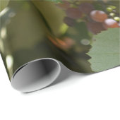 Kalifornien-Weinberge Geschenkpapier (Rolleneckpunkt)
