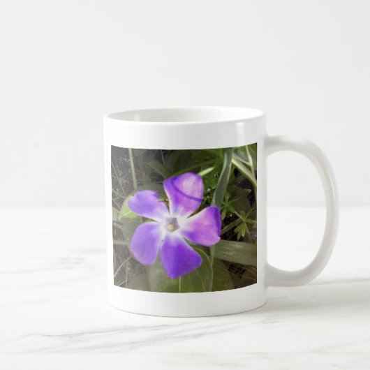 Kalifornien-Wildblume Kaffeetasse (Rechts)