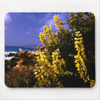 Kalifornienblumenküste Mousepad
