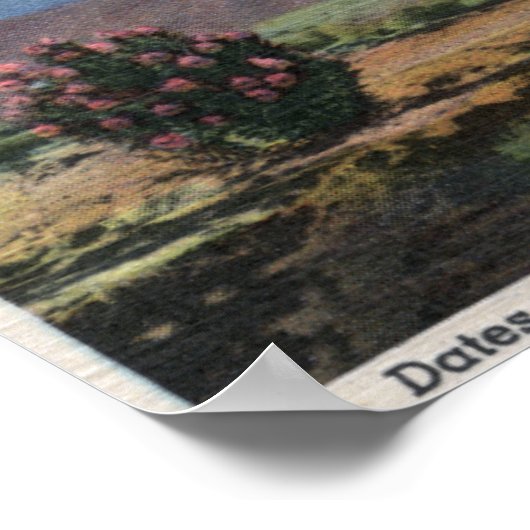 KalifornienDaten wachsen in Coachella Poster (Ecke)