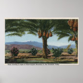 KalifornienDaten wachsen in Coachella Poster (Vorne)