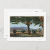 KalifornienDaten wachsen in Coachella Postkarte (Vorne/Hinten)