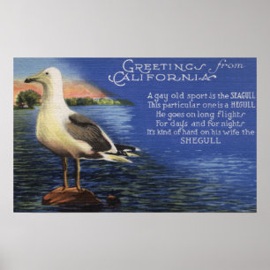 KalifornienGrüße von Seagull Gedicht Poster