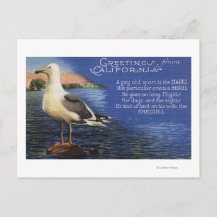 KalifornienGrüße von Seagull Gedicht Postkarte