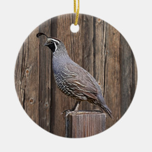 KALIFORNIENISCHE QUAIL AUF BARNBOARD KERAMIK ORNAMENT