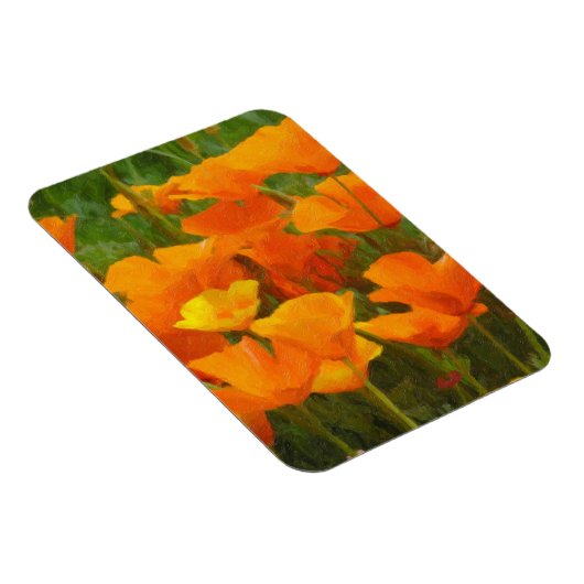 Kalifornienmohn Magnet (Rechte Seite)