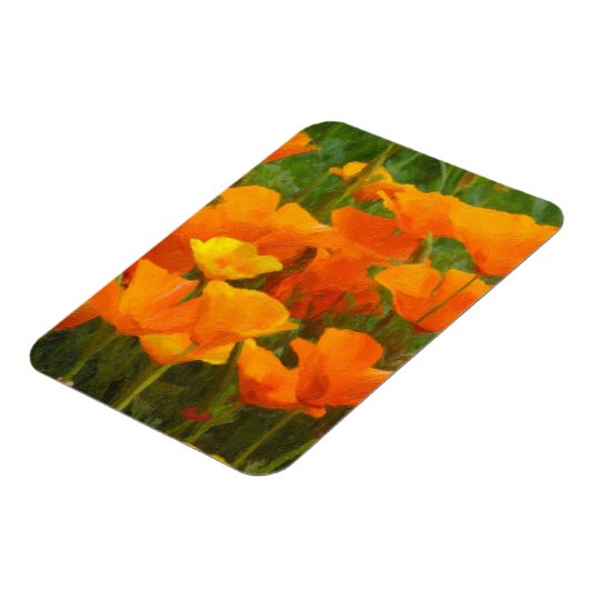 Kalifornienmohn Magnet (Linke Seite)