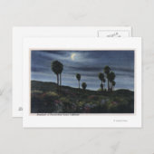 KalifornienMoonlit View bei 299 Palmen Postkarte (Vorne/Hinten)