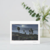 KalifornienMoonlit View bei 299 Palmen Postkarte (Stehend Vorderseite)